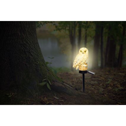 Globo - LED Napelemes lámpa LED/0,06W/3V IP44 bagoly