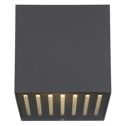 Globo - LED kültéri fali lámpatest LED/6 W/230 V IP54 antracit