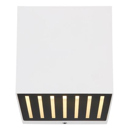 Globo - LED kültéri fali lámpatest LED/6W/230V IP54 fehér