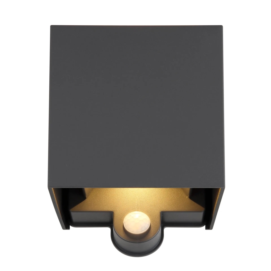 Globo - LED kültéri fali lámpa érzékelővel 2xLED/3W/230V IP54