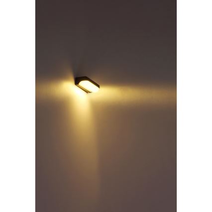 Globo - LED Kültéri fali lámpa LED/10W/230V IP54