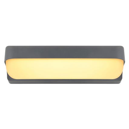 Globo - LED Kültéri fali lámpa LED/10W/230V IP54
