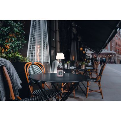 Globo - LED Napelemes palack lámpabúra 10xLED/1,5W/3V IP44