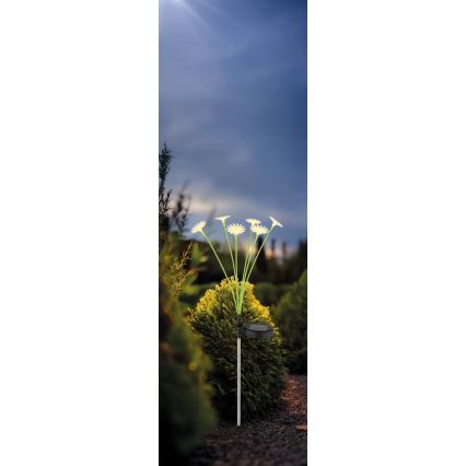 Globo - LED napelemes kerti lámpa 6xLED/3V IP44 600 mAh virág alakú
