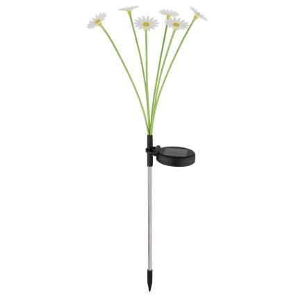 Globo - LED napelemes kerti lámpa 6xLED/3V IP44 600 mAh virág alakú