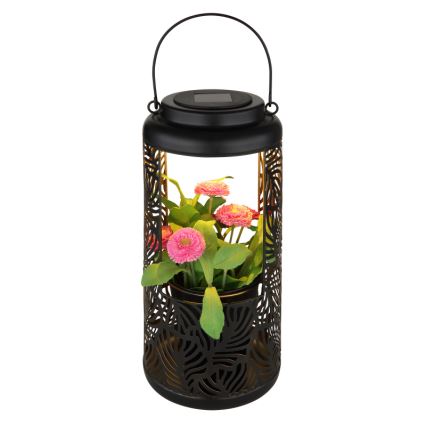 Globo - LED Napelemes lámpa LED/0,06W/3V 3000K IP44