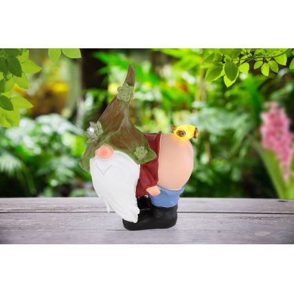 Globo - LED Napelemes lámpa LED/0,12W/3V 8000K IP44 gnóm