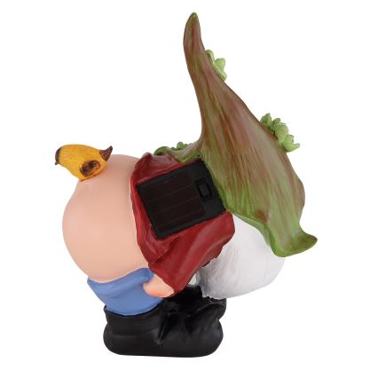 Globo - LED Napelemes lámpa LED/0,12W/3V 8000K IP44 gnóm