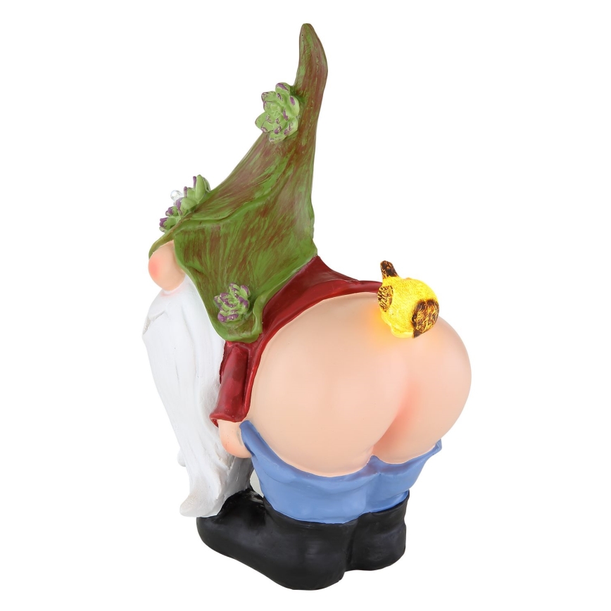 Globo - LED Napelemes lámpa LED/0,12W/3V 8000K IP44 gnóm