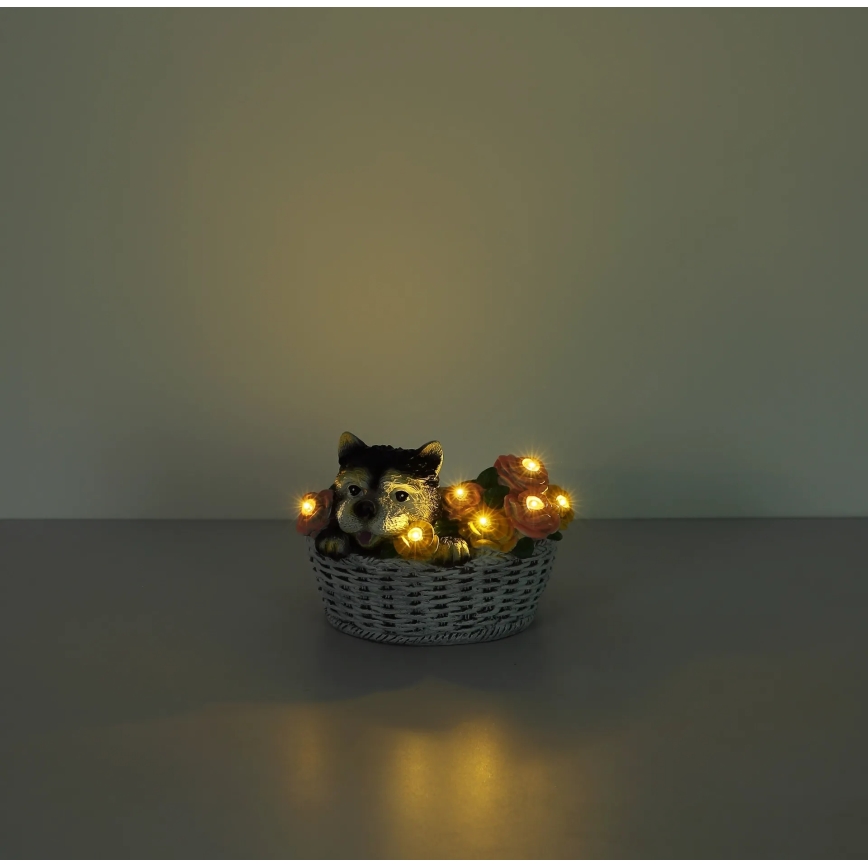 Globo - LED napelemes lámpa LED/1,2V IP44 300 mAh kutya