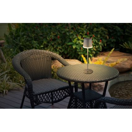 Globo - LED Napelemes lámpa LED/0,6W/3V 3000K IP44 1200 mAh antracit