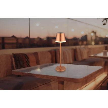 Globo - LED Napelemes lámpa LED/0,6W/3V 3000K IP44 réz