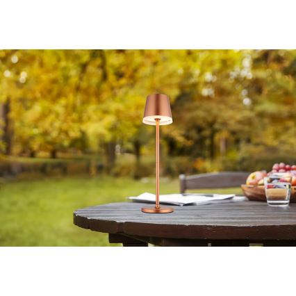 Globo - LED Napelemes lámpa LED/0,6W/3V 3000K IP44 réz