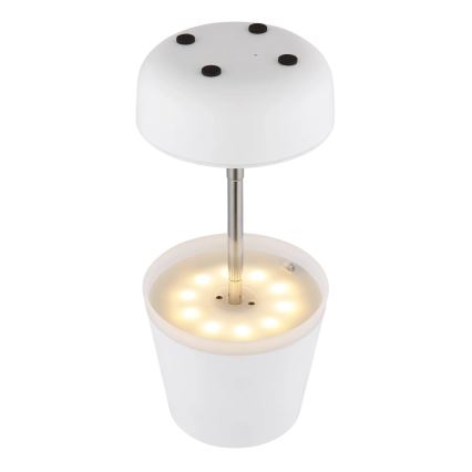 Globo - LED napelemes lámpa 10xLED/0,06W/3V IP44 800 mAh fehér