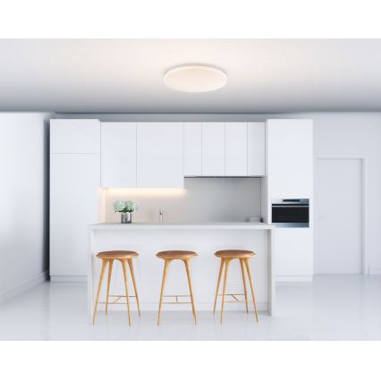 Globo - LED mennyezeti lámpa LED/20W/230V