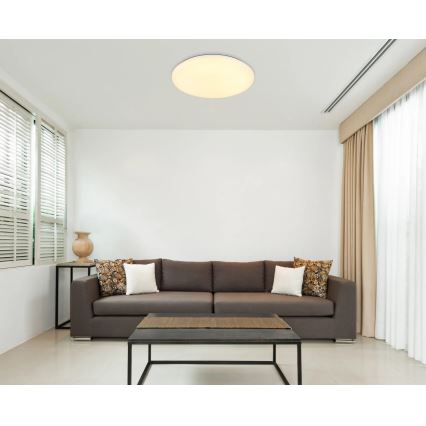 Globo - LED Mennyezeti lámpa LED/24W/230V átm. 49,5 cm fehér