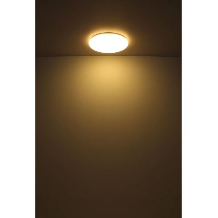 Globo - LED Mennyezeti lámpa LED/24W/230V átm. 49,5 cm fehér