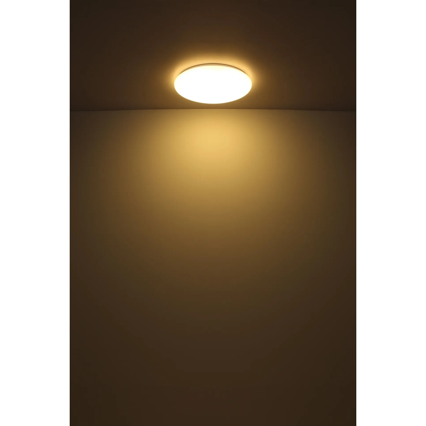 Globo - LED Mennyezeti lámpa LED/24W/230V átm. 49,5 cm fehér