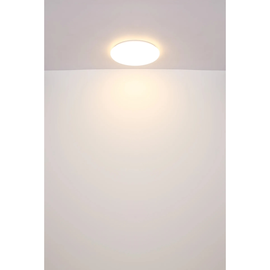 Globo - LED Mennyezeti lámpa LED/24W/230V átm. 49,5 cm fehér