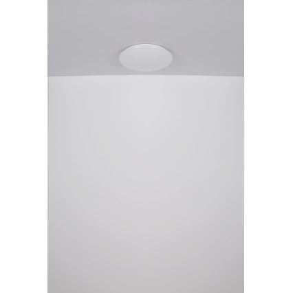 Globo - LED Mennyezeti lámpa LED/24W/230V átm. 49,5 cm fehér