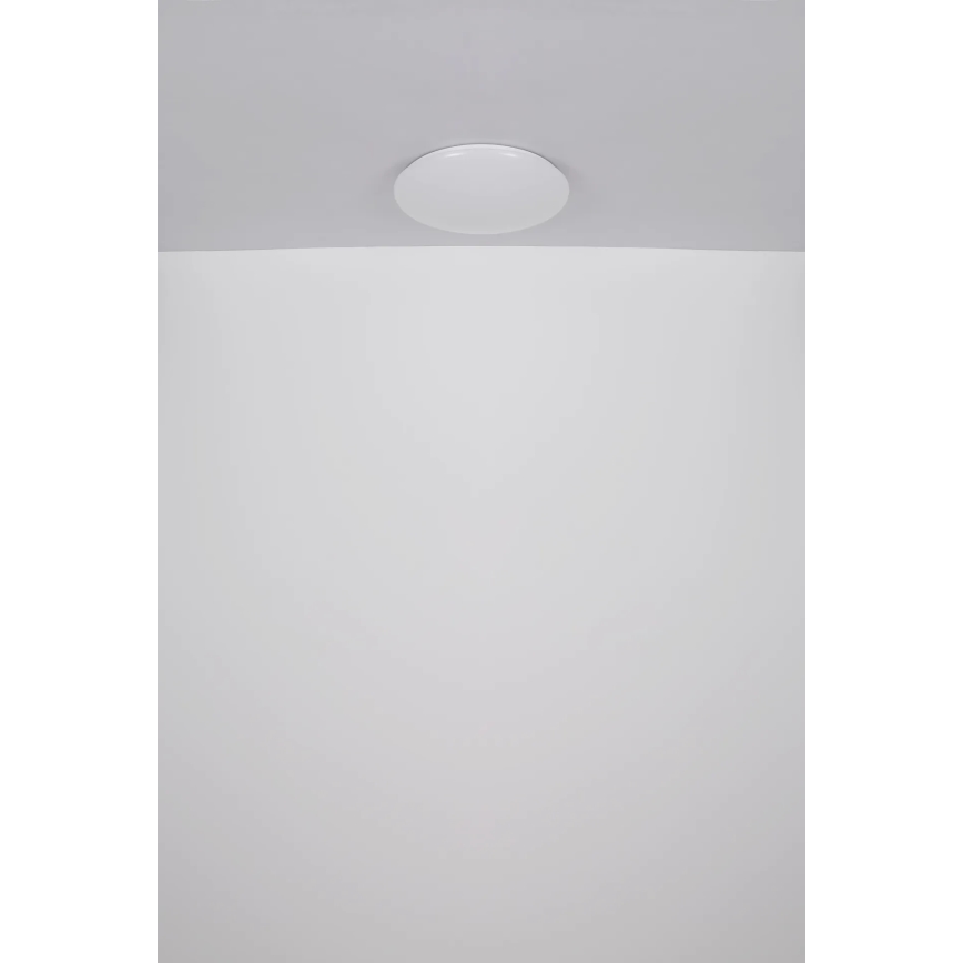 Globo - LED Mennyezeti lámpa LED/24W/230V átm. 49,5 cm fehér
