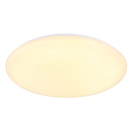 Globo - LED Mennyezeti lámpa LED/24W/230V átm. 49,5 cm fehér