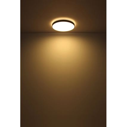 Globo - LED Mennyezeti lámpa LED/24W/230V átm. 48 cm antracit