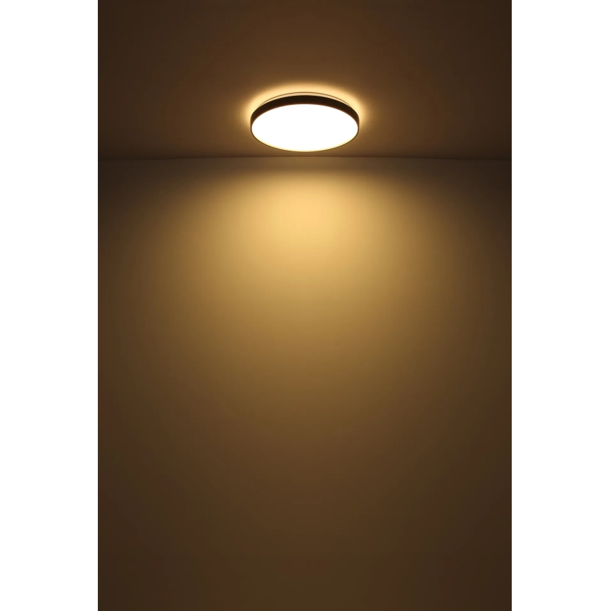 Globo - LED Mennyezeti lámpa LED/24W/230V átm. 48 cm antracit