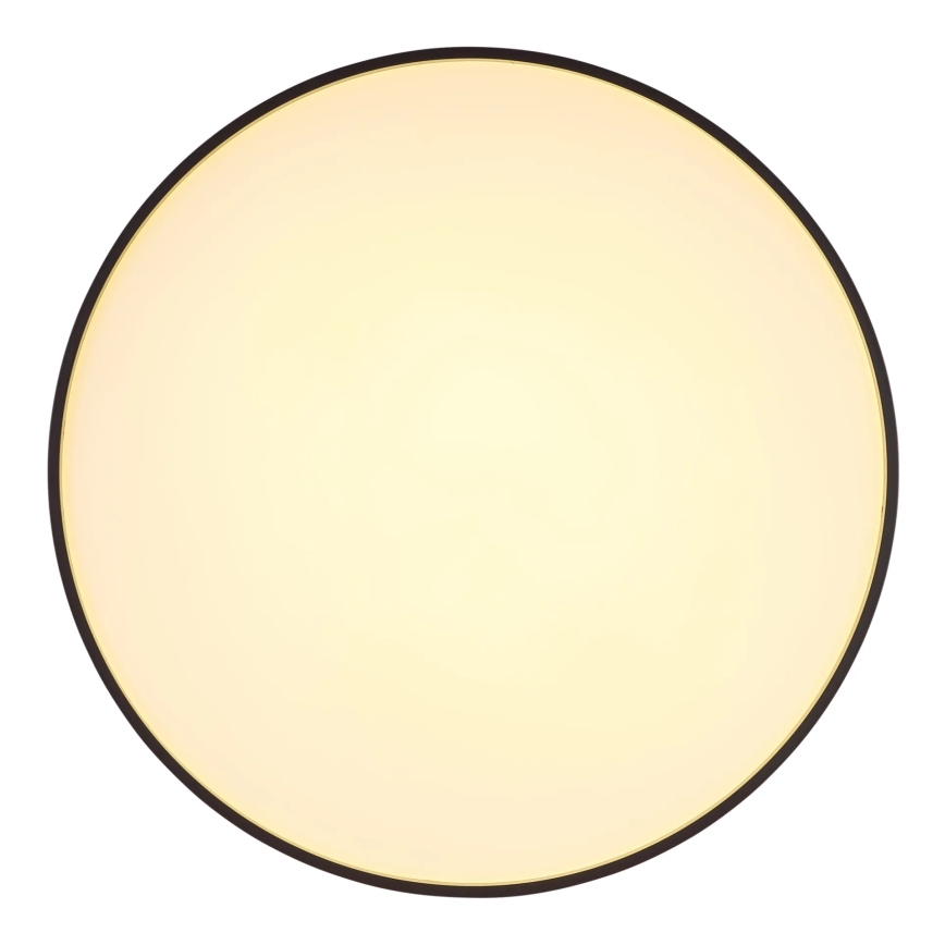Globo - LED Mennyezeti lámpa LED/24W/230V átm. 48 cm antracit