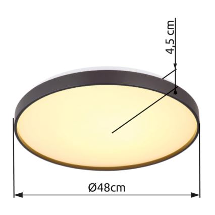 Globo - LED Mennyezeti lámpa LED/24W/230V átm. 48 cm antracit