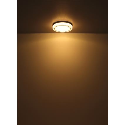 Globo - LED Mennyezeti lámpa LED/24W/230V átm. 40 cm 3000K fehér
