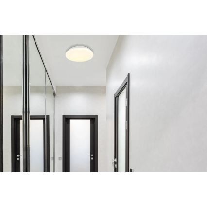 Globo - LED mennyezeti lámpa LED/8W/230V 4000K átm. 55 cm