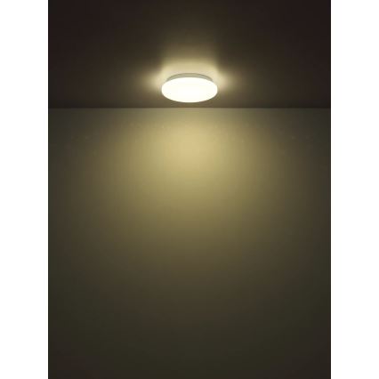 Globo - LED mennyezeti lámpa LED/8W/230V 4000K átm. 55 cm