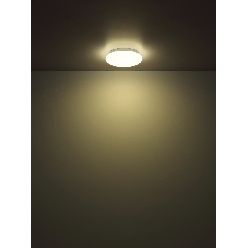 Globo - LED mennyezeti lámpa LED/8W/230V 4000K átm. 55 cm