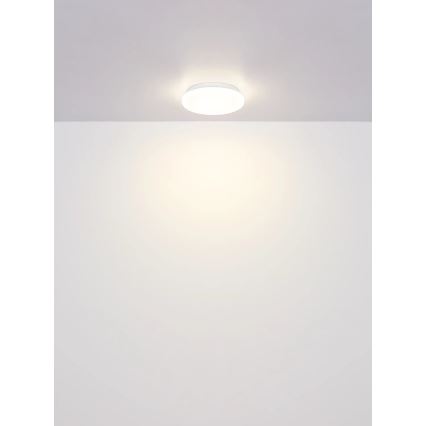 Globo - LED mennyezeti lámpa LED/8W/230V 4000K átm. 55 cm