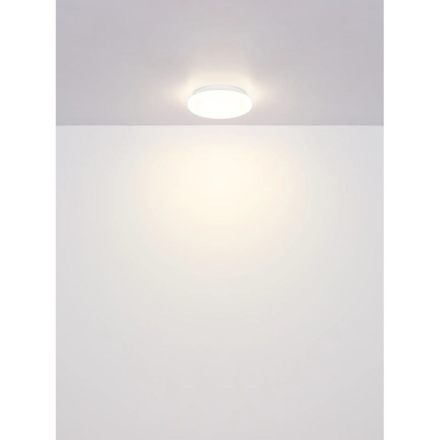 Globo - LED mennyezeti lámpa LED/8W/230V 4000K átm. 55 cm