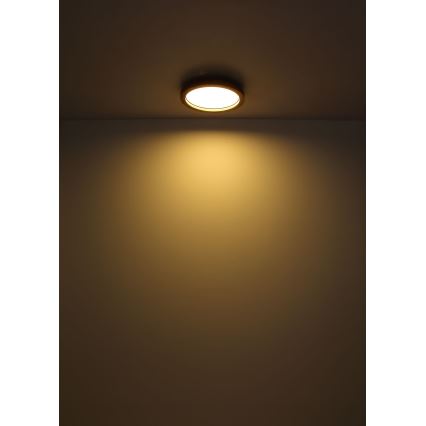 Globo - LED RGBW állítható fényerejű mennyezeti lámpa LED/24W/230V 2700-6000K + távirányító