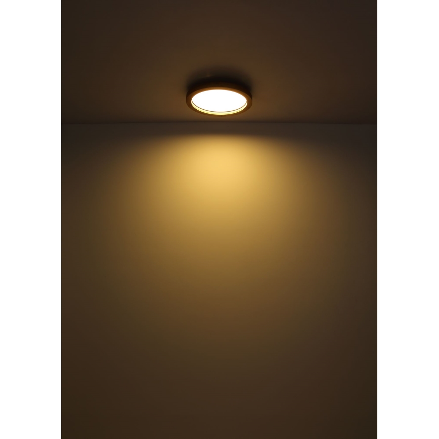 Globo - LED RGBW állítható fényerejű mennyezeti lámpa LED/24W/230V 2700-6000K + távirányító