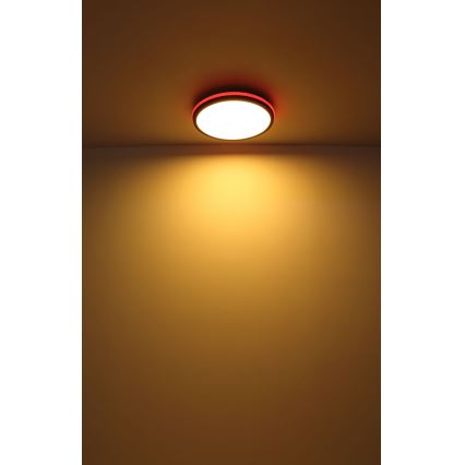 Globo - LED RGBW Dimmelhető mennyezeti lámpa LED/40W/230V 2700-6500K + távirányítás