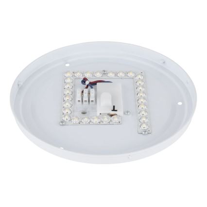Globo - LED mennyezeti lámpa LED/12W/230V 3000/4200/6500K Ø 26 cm