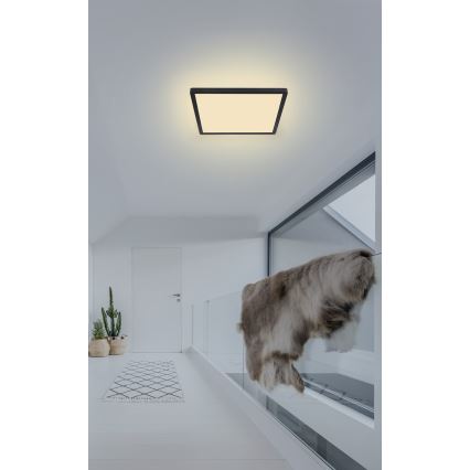 Globo - LED dimmelhető fürdőszobai lámpa LED/18W/230V 29,4x29,4 cm IP44 fekete