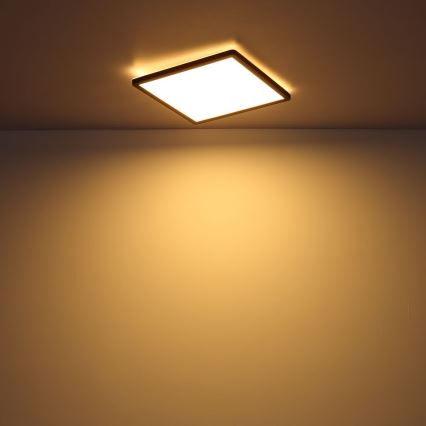 Globo - LED állítható fényerejű fürdőszobai mennyezeti lámpa LED/24W/230V 42x42 cm IP44 fekete