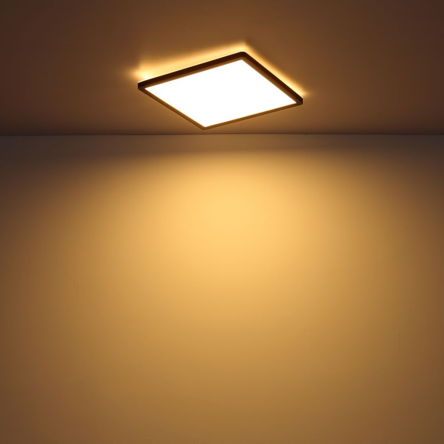 Globo - LED állítható fényerejű fürdőszobai mennyezeti lámpa LED/24W/230V 42x42 cm IP44 fekete