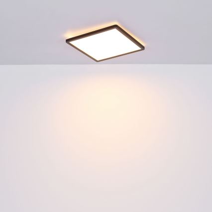 Globo - LED állítható fényerejű fürdőszobai mennyezeti lámpa LED/24W/230V 42x42 cm IP44 fekete