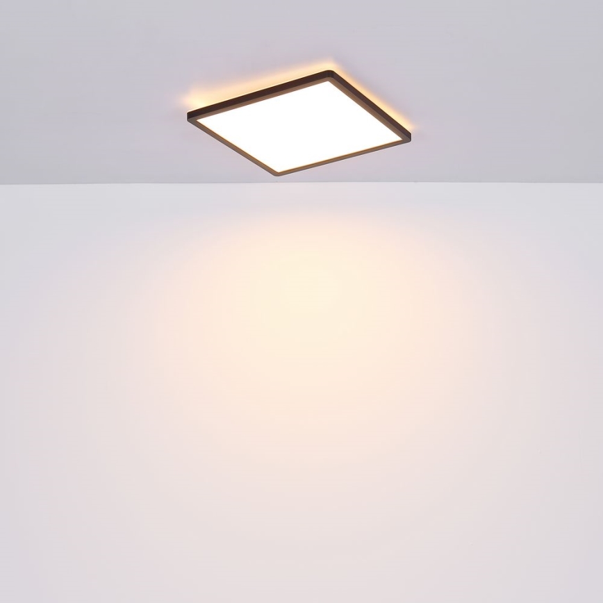 Globo - LED állítható fényerejű fürdőszobai mennyezeti lámpa LED/24W/230V 42x42 cm IP44 fekete