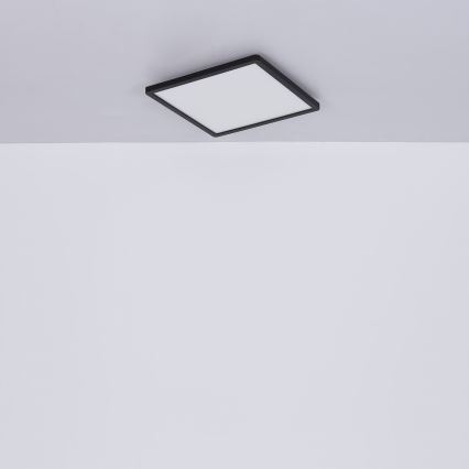 Globo - LED állítható fényerejű fürdőszobai mennyezeti lámpa LED/24W/230V 42x42 cm IP44 fekete