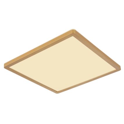 Globo - LED dimmelhető fürdőszobai lámpa LED/24W/230V 3000K IP44 42x42 cm réz