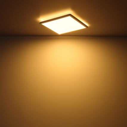 Globo - LED állítható fényerejű fürdőszobai mennyezeti lámpa LED/24W/230V 42x42 cm IP44 fehér
