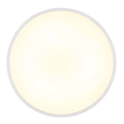 Globo - LED mennyezeti lámpatest LED/20W/230V 4000K átm. 30 cm fehér