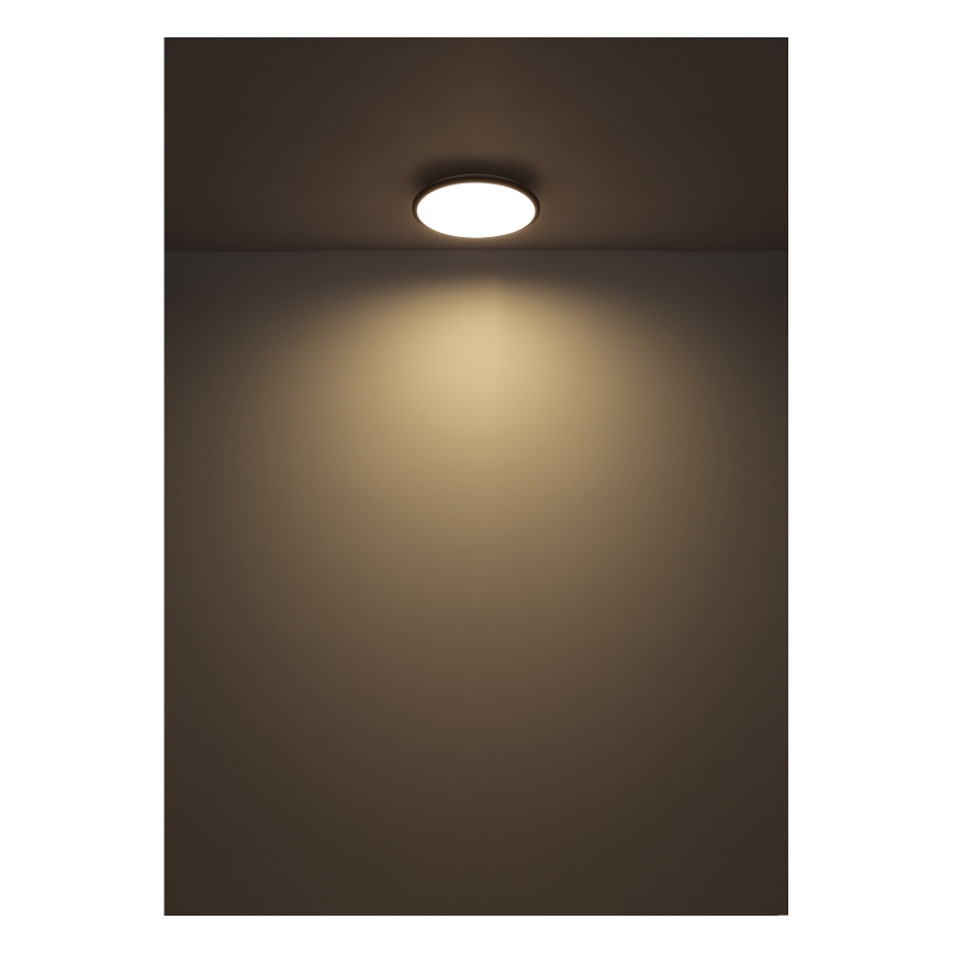 Globo - LED Mennyezeti lámpa LED/18W/230V 4000K átm. 35 cm fekete